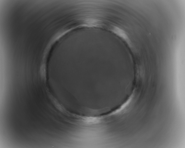 X0000088201114200705292027