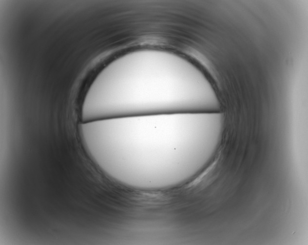 X0000088201115200705292027