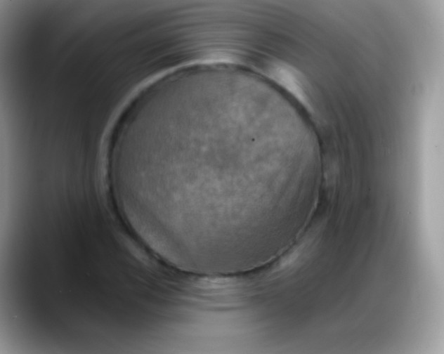 X0000088201116200705292027