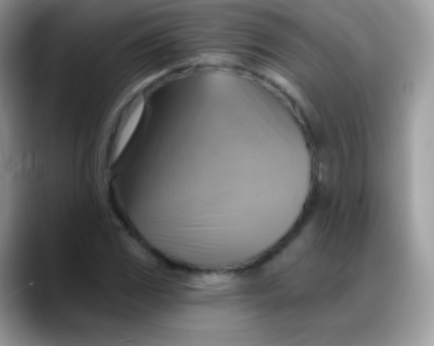 X0000088201117200705292027