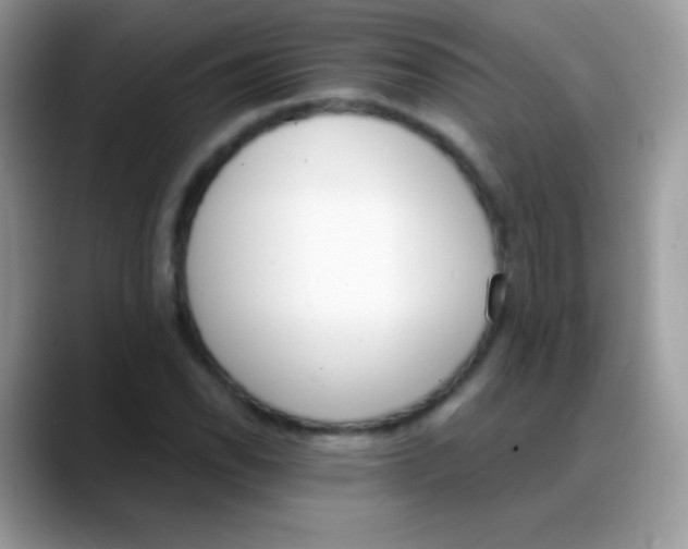 X0000088201118200705292027