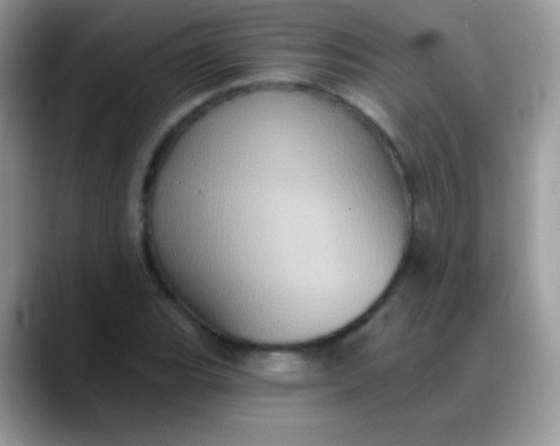 X0000088201119200705292027