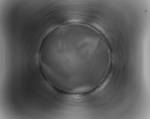 X0000088201121200705292027