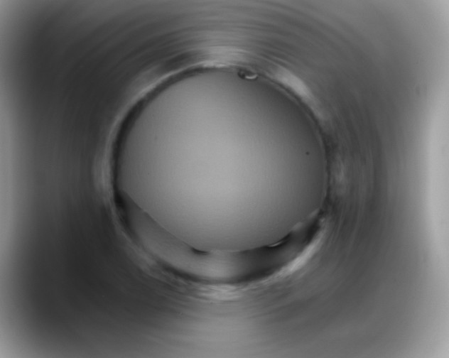 X0000088201122200705292027
