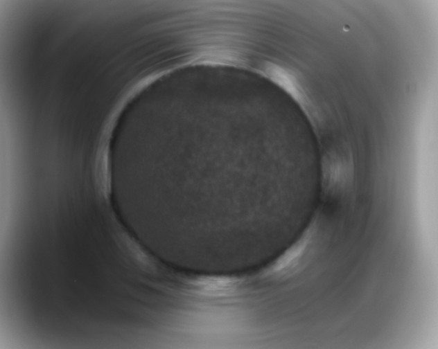 X0000088201123200705292027