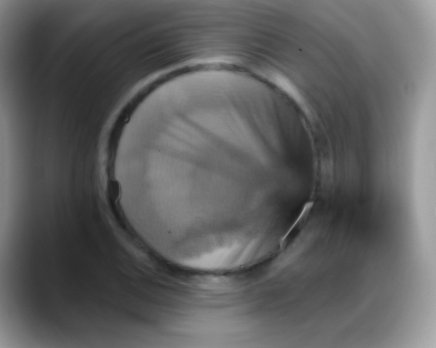X0000088201124200705292027