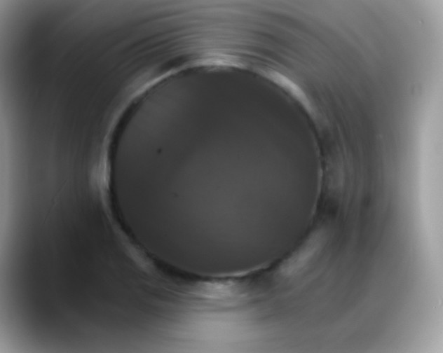 X0000088201125200705292027
