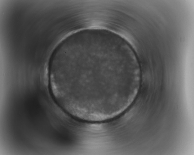 X0000088201126200705292027