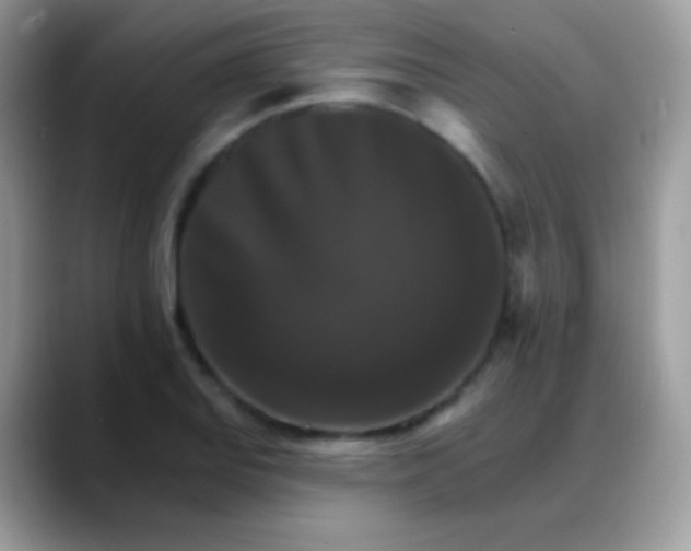 X0000088201127200705292027