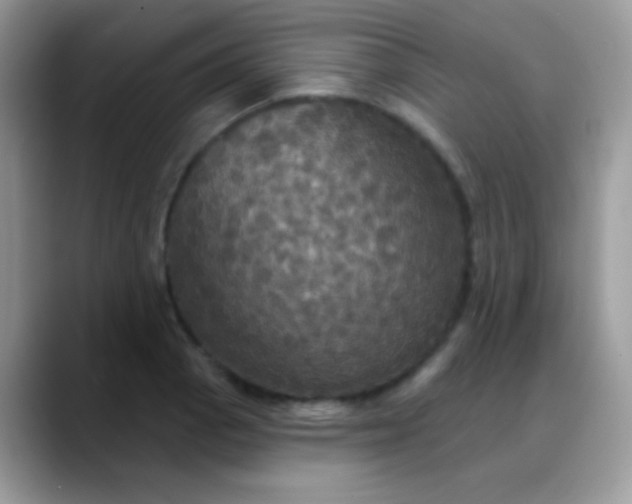 X0000088201129200705292027