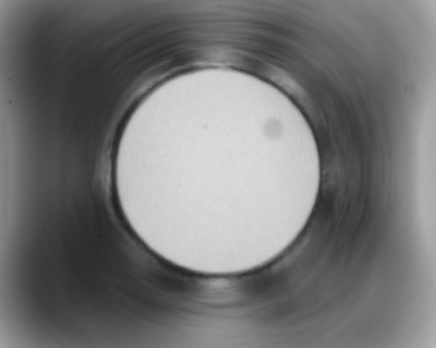 X0000088201130200705292027