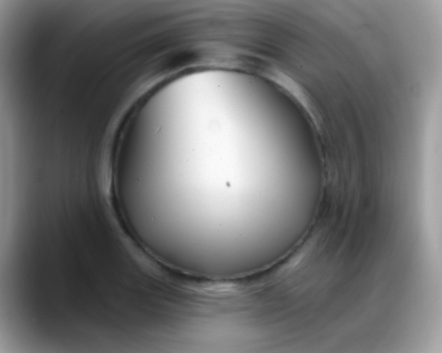 X0000088201131200705292027