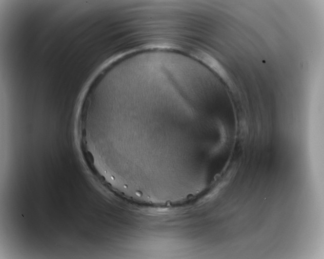 X0000088201132200705292027