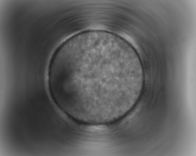 X0000088201133200705292027