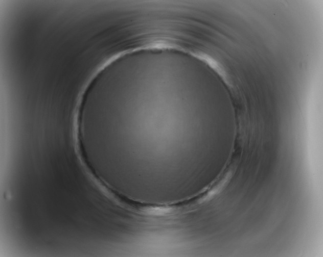X0000088201134200705292027