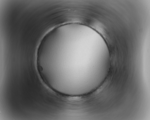 X0000088201135200705292027
