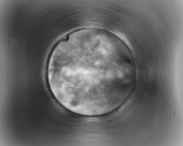 X0000088201136200705292027