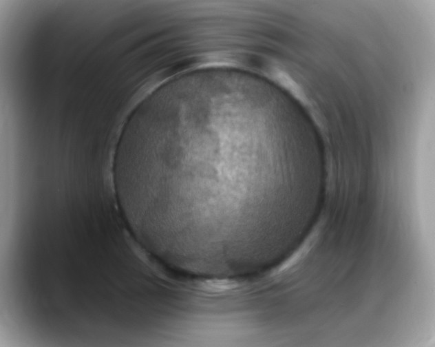 X0000088201137200705292027