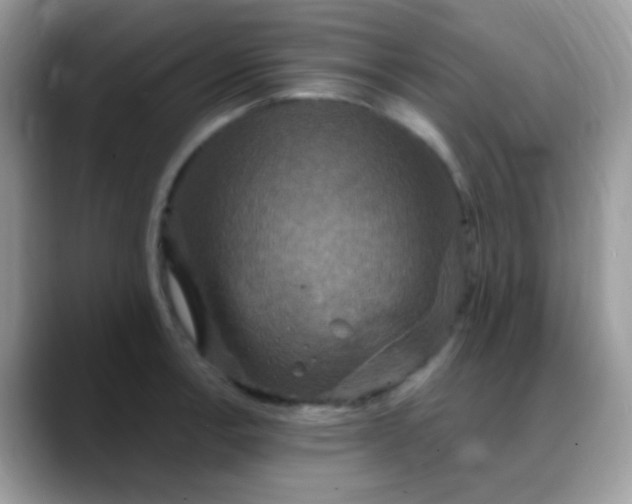 X0000088201138200705292027