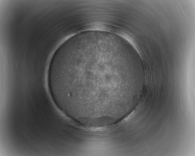 X0000088201139200705292027
