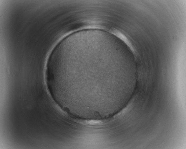 X0000088201140200705292027