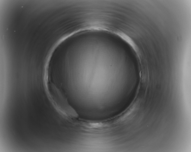 X0000088201144200705292027