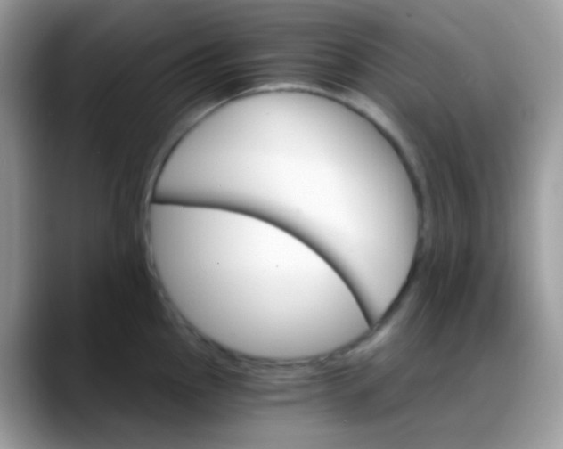 X0000088201145200705292027