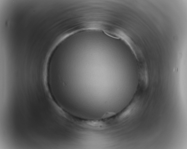 X0000088201147200705292027