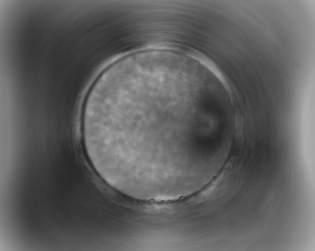 X0000088201148200705292027