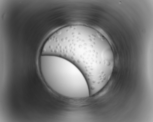 X0000088201149200705292027