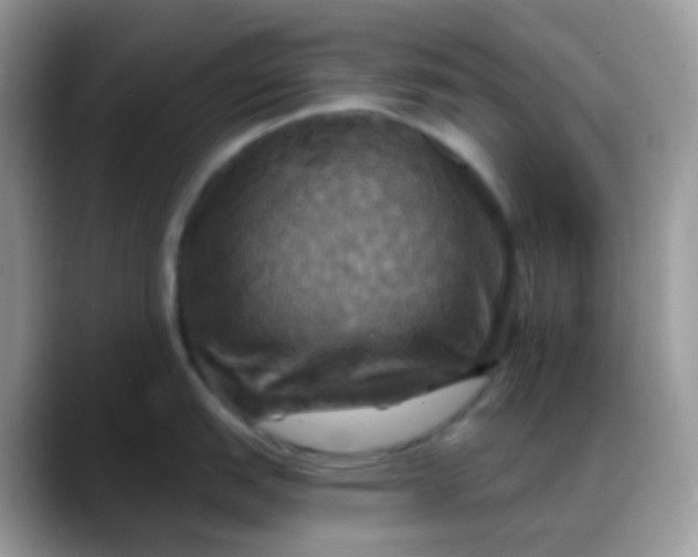X0000088201151200705292027