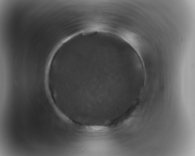 X0000088201152200705292027
