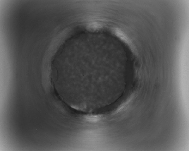 X0000088201153200705292027