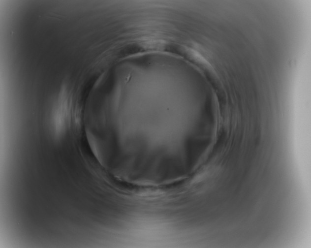 X0000088201154200705292027