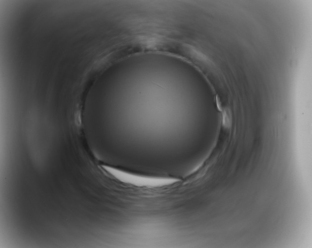 X0000088201155200705292027