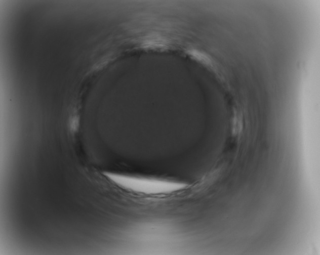 X0000088201157200705292027