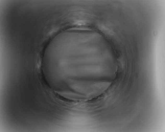 X0000088201158200705292026