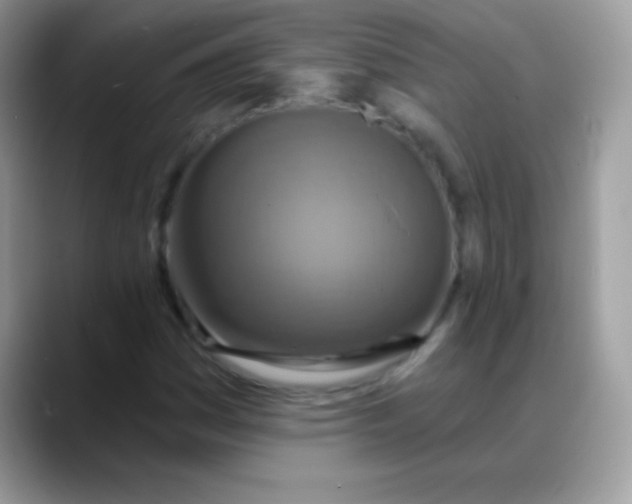 X0000088201161200705292026