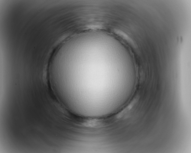 X0000088201162200705292026