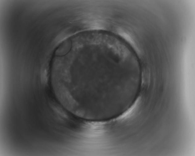X0000088201163200705292026