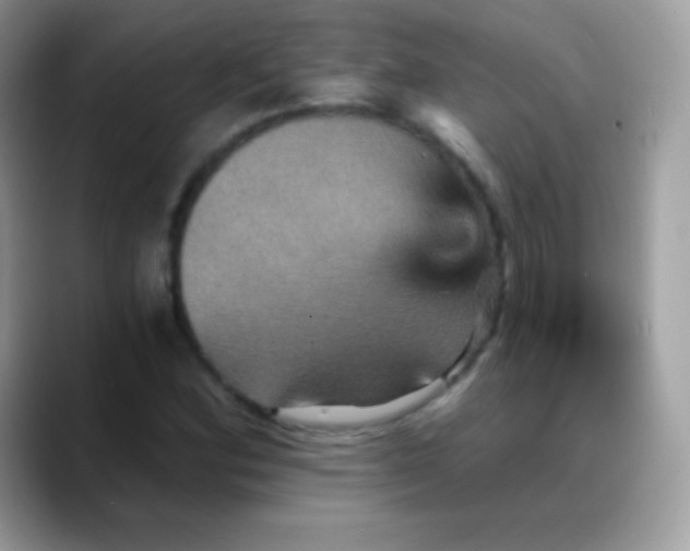 X0000088201164200705292026