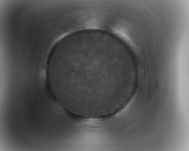 X0000088201166200705292026