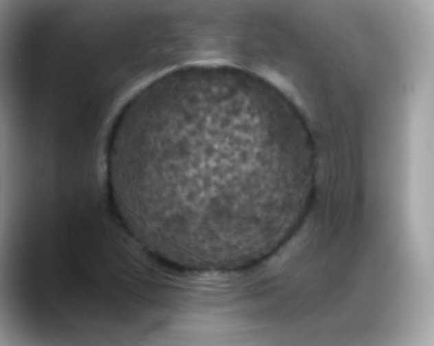 X0000088201167200705292026