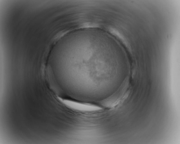 X0000088201169200705292026