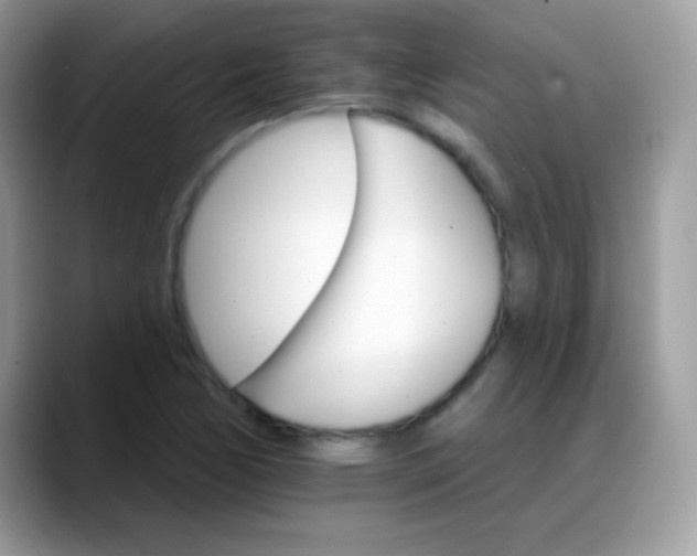 X0000088201170200705292026