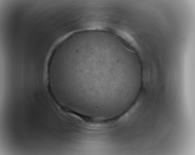 X0000088201172200705292026