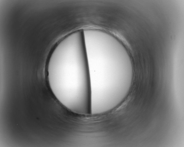 X0000088201173200705292026