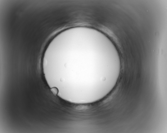 X0000088201174200705292026