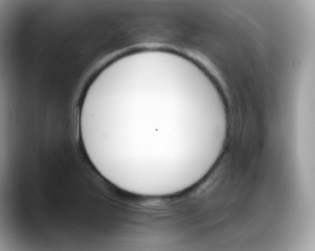 X0000088201175200705292026