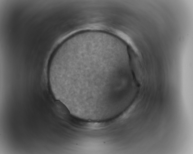 X0000088201176200705292026